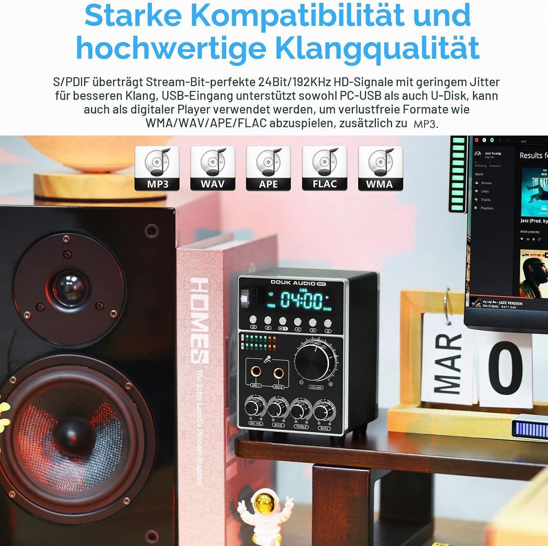 HiFi Dual MIC Digital Verstärker Bluetooth Empfänger USB Player S/PDIF Audio Power Amplifier Karaoke