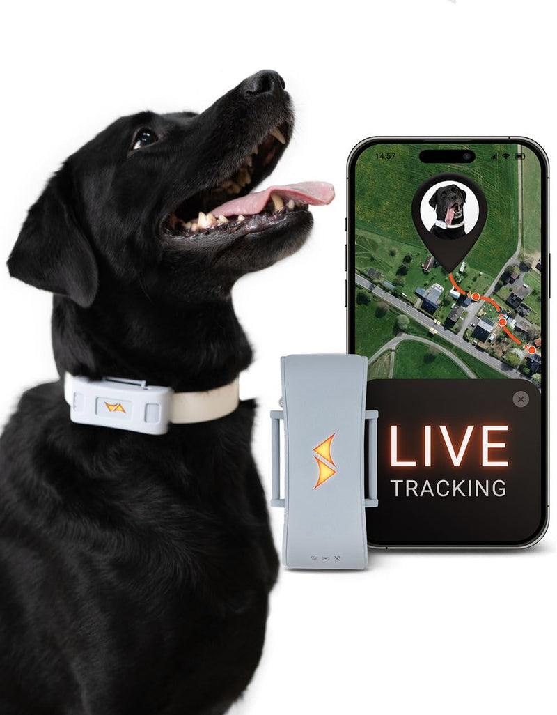 PAJ GPS Tracker für Hunde - 4G - Weglaufalarme + weltweite Live-Ortung - bis zu 10 Tage Akkusparmodu