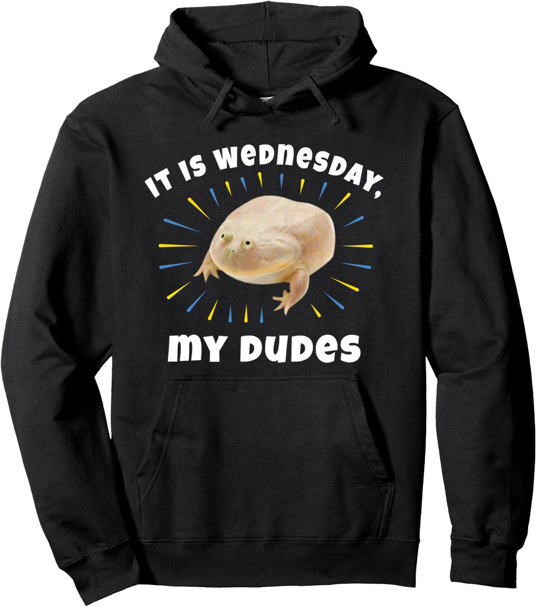 It Is Wednesday My Dudes as Frog Meme Gifts Pullover Hoodie