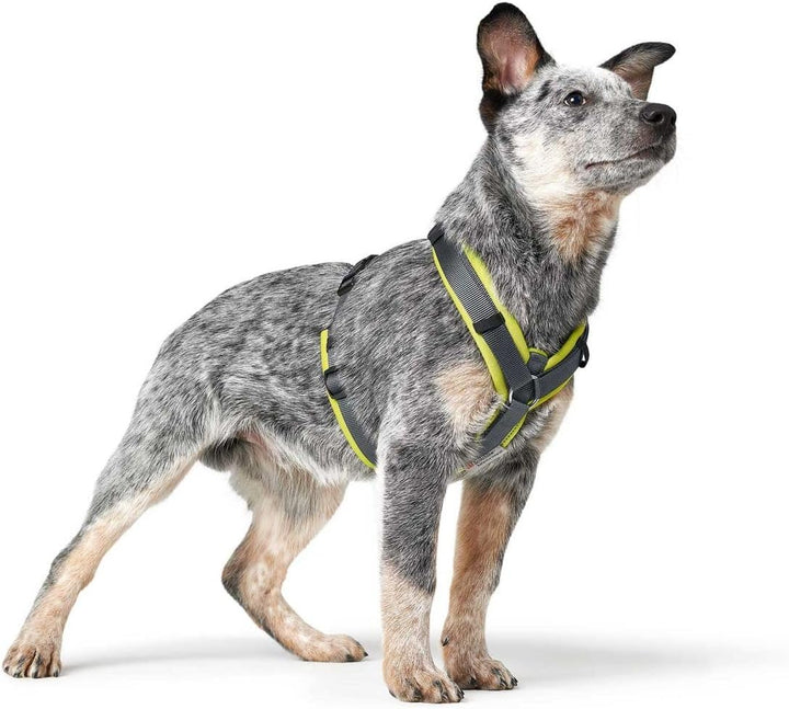 HUNTER Geschirr Maldon 37-53/XS-S Limette/Grau XS-S, Limette/Grau XS-S