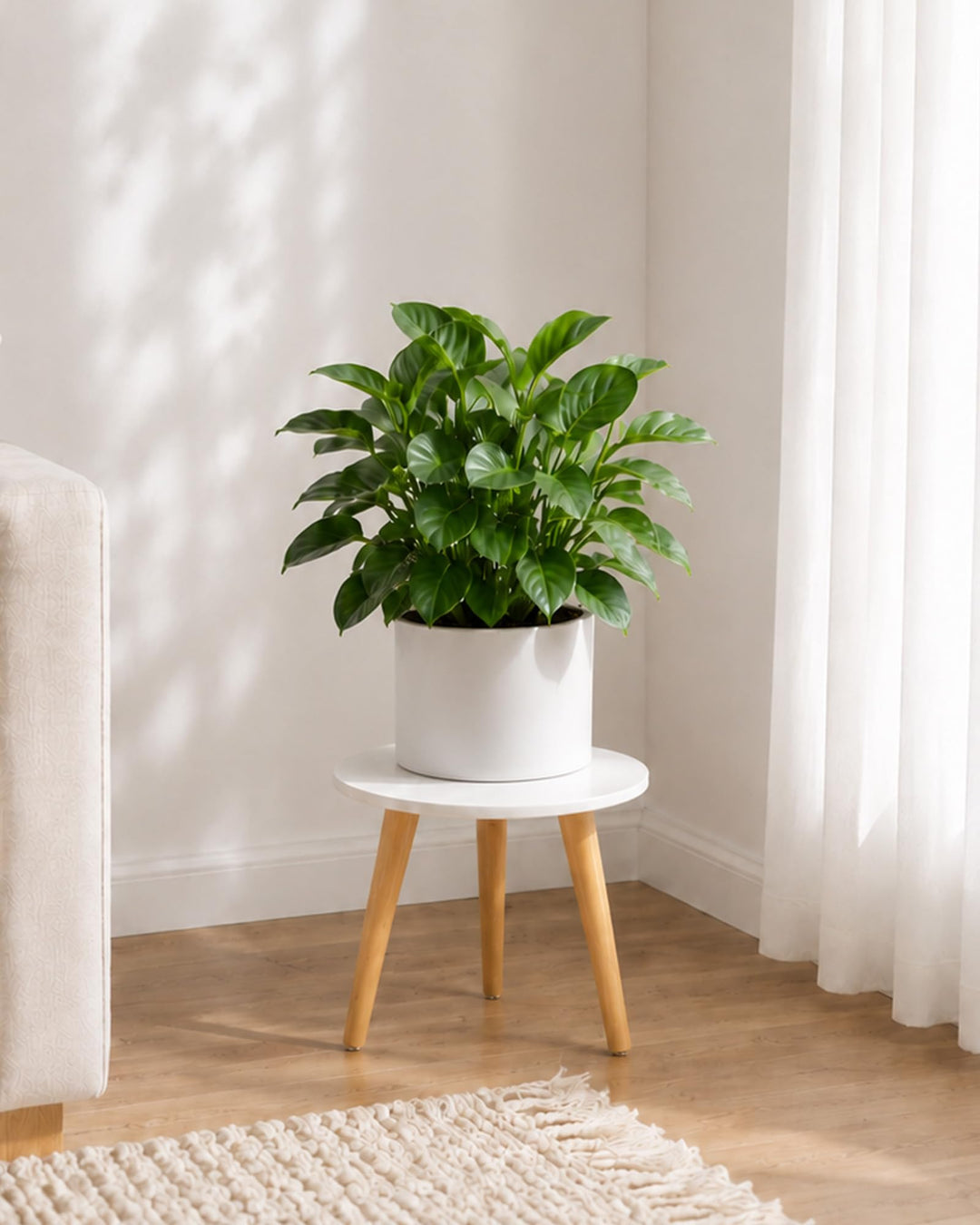 Bamworld Blumenständer klein – Moderner Beistelltisch & Pflanzenständer aus Holz, Rundes Design für