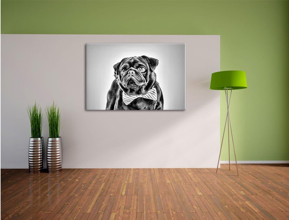 Pixxprint Lustiger Mops mit Fliege als Leinwandbild/Grösse: 100x70 / Wandbild/Kunstdruck/fertig besp