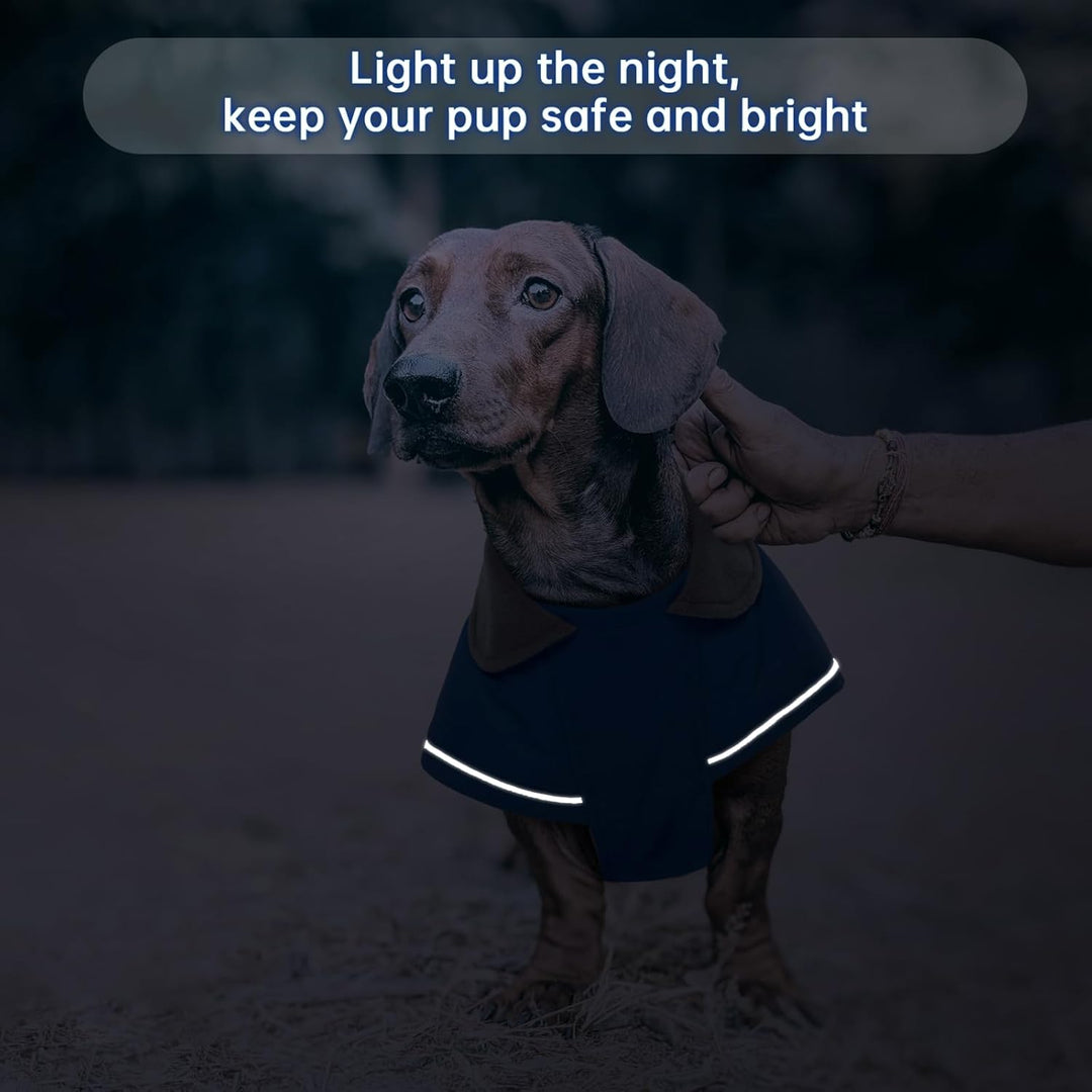 Hundemantel Dackel XS, Winddichter Wasserdichter Wintermantel Für Dackel Hunde, Hundejacke Für Gross