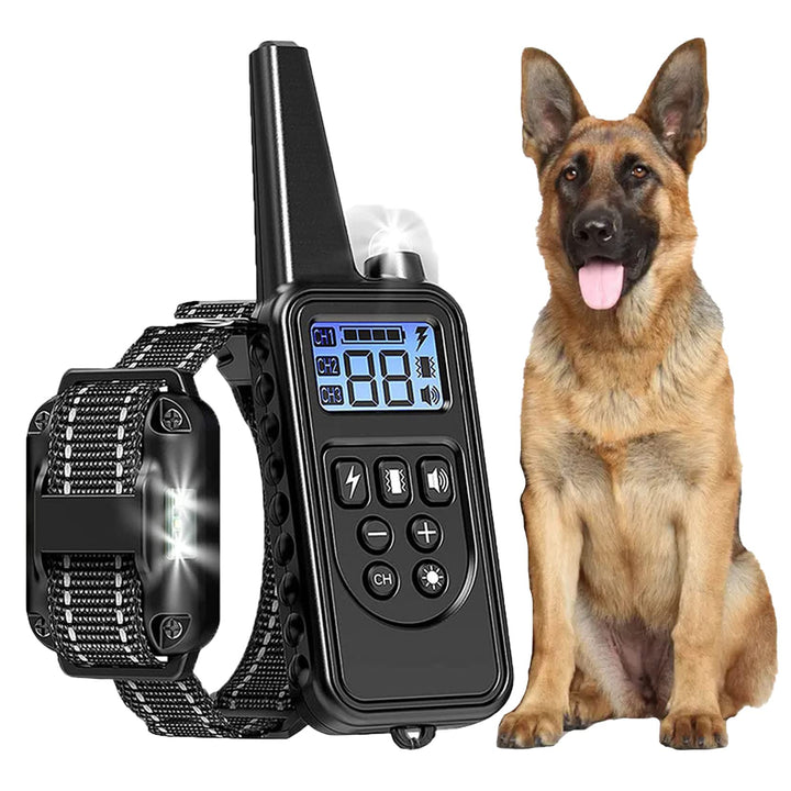 Generisch Agility-Ausrüstung für das Hundetraining,Hundehalsband zur Verhaltenssteuerung, längenvers