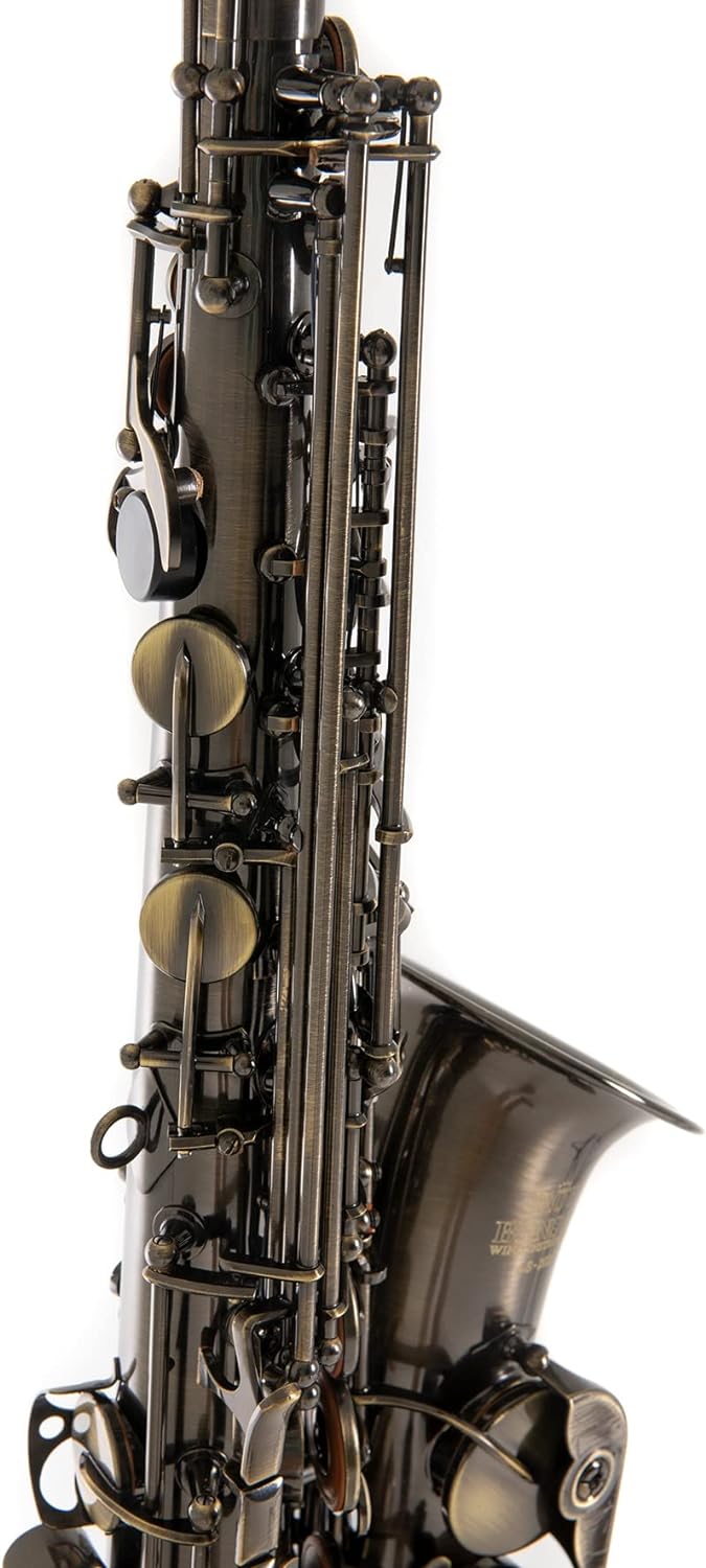Roy Benson Eb-Alt Saxophon MOD.AS-202A antik lackiert, inkl. leichtem Rechtecketui, AS-202A