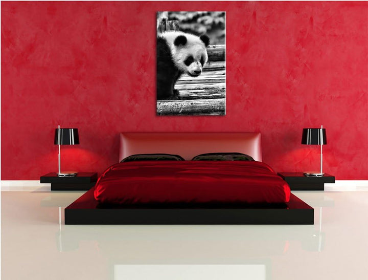 Pixxprint Panda auf Holzstämmen / 100x70cm Leinwandbild bespannt auf Holzrahmen/Wandbild Kunstdruck