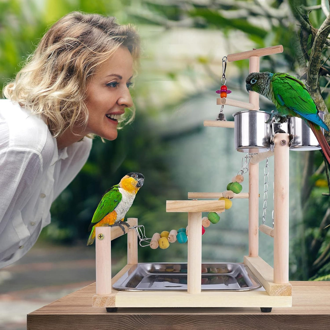 RoseFlower Vogelspielplatz Papageien Spielplatz, Naturholz Vogel Spielständer mit Feeder Cups Leiter