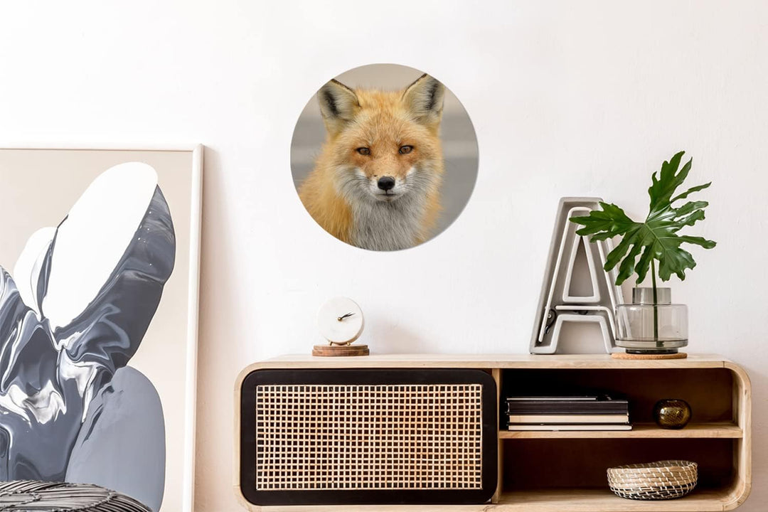 Wandbild Rund Wanddeko Deko Wohnzimmer Bilder 30x30 cm Fuchs - Makro - Rot 30.00 x 30.00 cms, 30.00