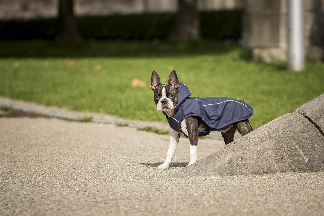 CHIARA Scotty Regenjacke mit Geschirr CHJ-Y1811BL-S-CHIARA-Regenmantel, Regencape (Grösse: S, Materi