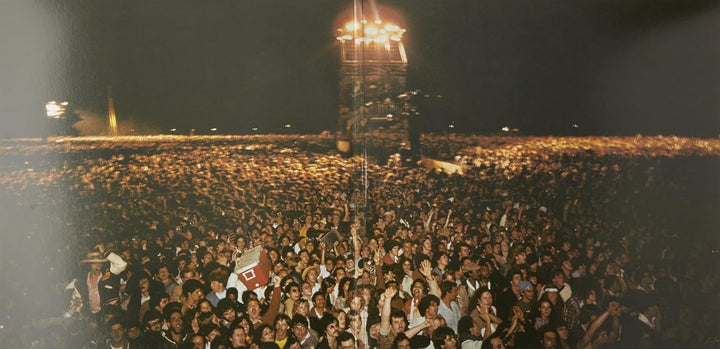 The Concert In Central Park, Vinyl