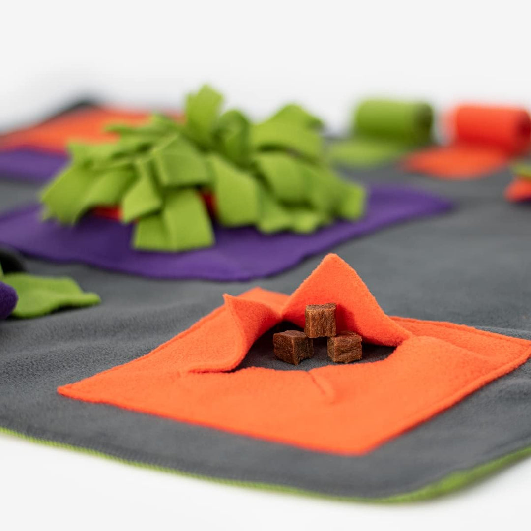 KNAUDERS Best Sniffpad Happy - Spannende Variations-Spiele von Knauder&