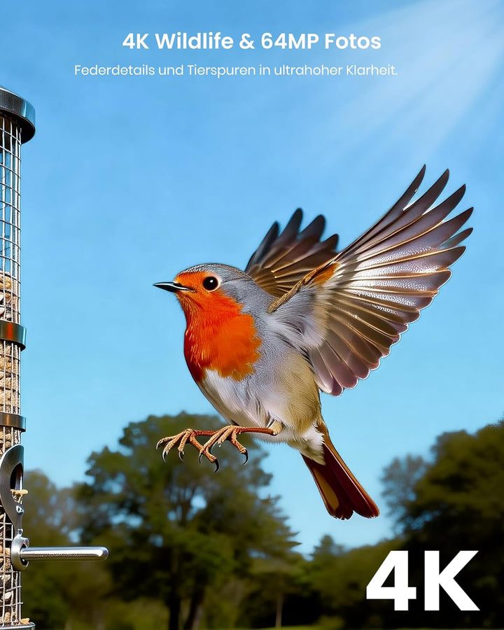 Misstech 4K UHD Solar Wildkamera mit Handyübertragung App, 64MP Solarbetriebene Wildtierkamera mit 0
