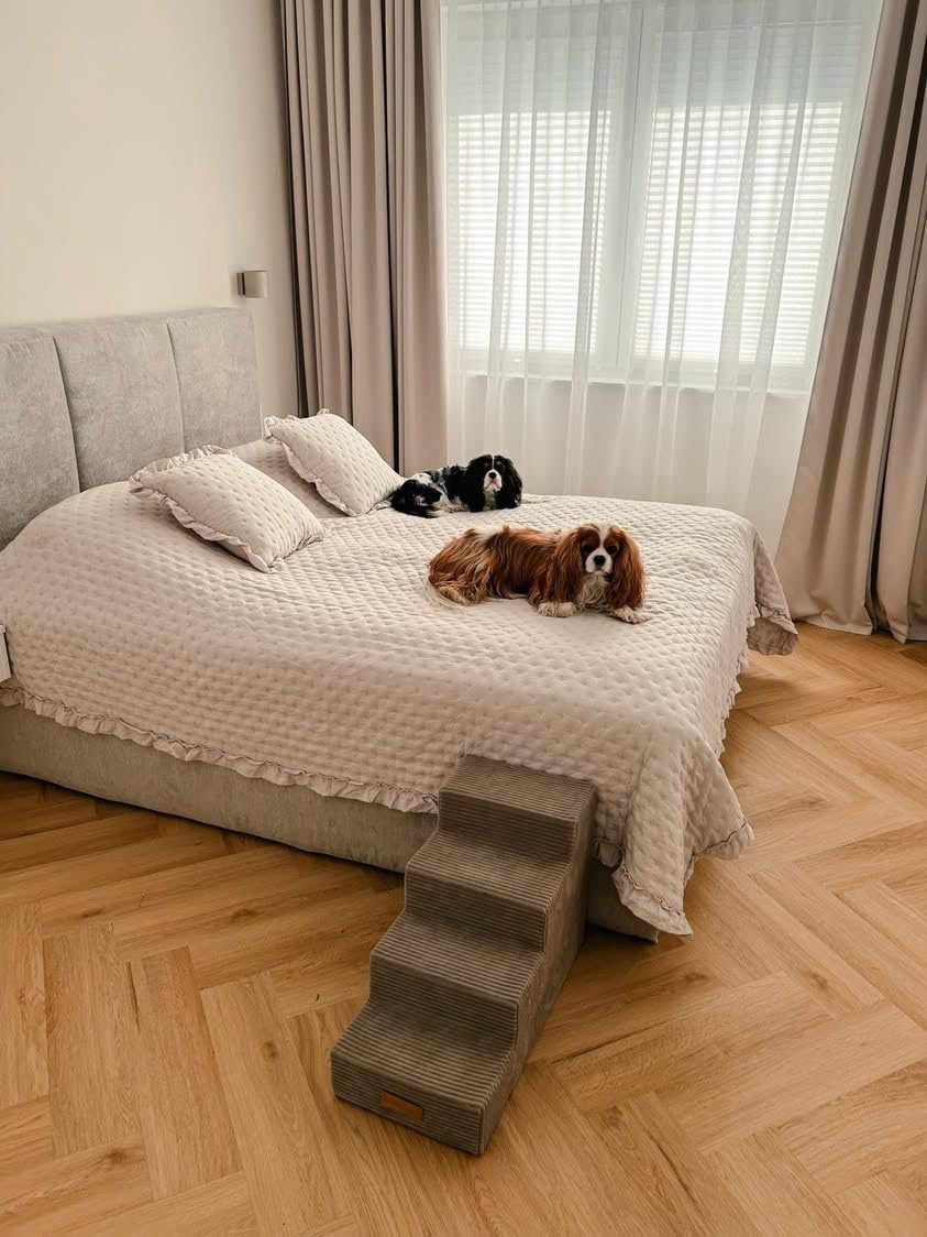 Sofatreppe für Hunde und Katzen – Hundetreppe für Bett & Sofa – 3- oder 4-stufig, rutschfest & wasch
