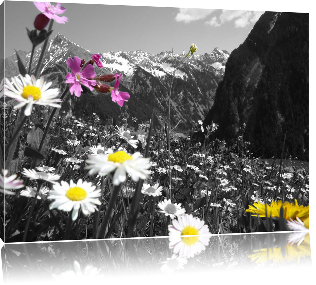 Pixxprint schöne Blumenwiese 100x70cm Leinwandbild Wandbild Kunstdruck, 100x70