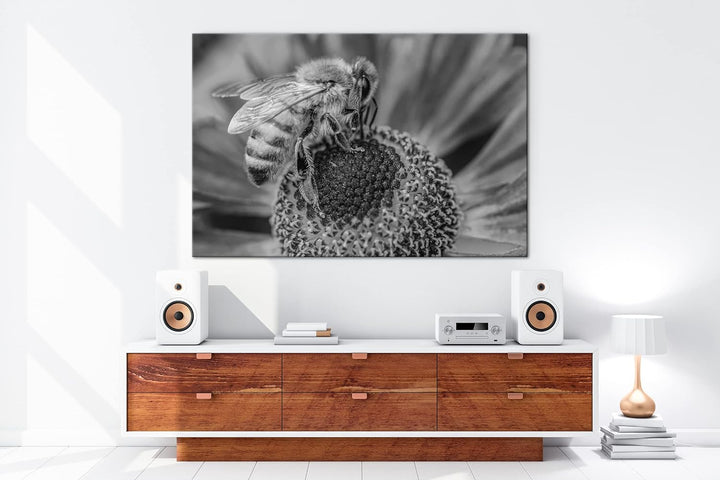 deyoli Biene beim Pollen sammeln Effekt: Schwarz&Weiss Format: 80x60 als Leinwandbild, Motiv fertig