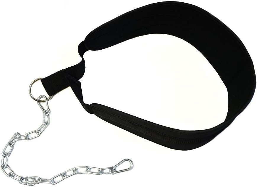 HemeraPhit Gewichtete Klimmzug Dips Gürtel Kette Doppel D Ring Gewichtheben Rückengurte Home Gym Zub