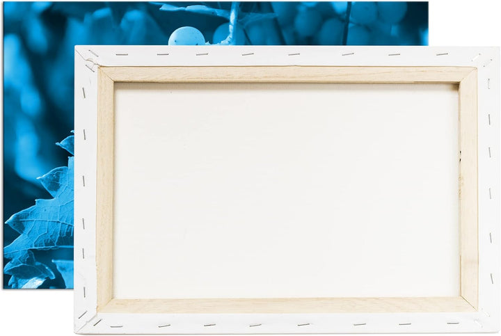 deyoli frische erntereife Weintrauben Format 60x40 Effekt: Monocrome Blau als Leinwandbild, Motiv fe