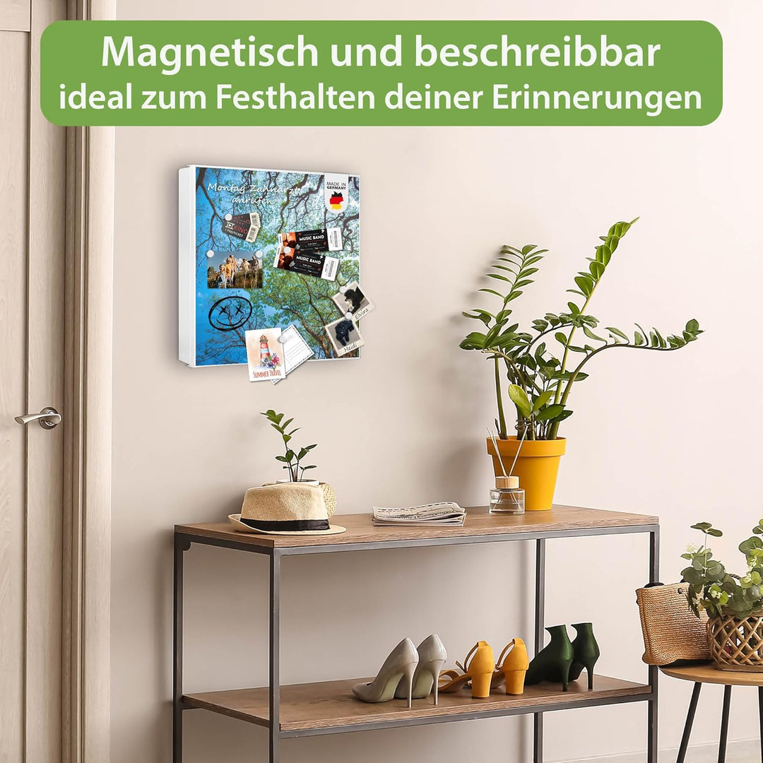 banjado® Grosser Schlüsselkasten Glas/Schlüsselbox 30cm x 30cm mit 50 Haken - Motiv Zwischen Bäumen