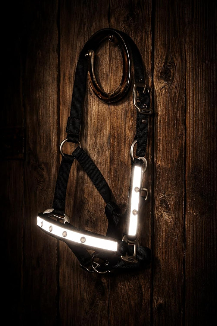 Reinecke Equestrian Premium Leuchthalfter Reflexhalfter Sicherheitshalfter Stallhalfter Weidehalfter