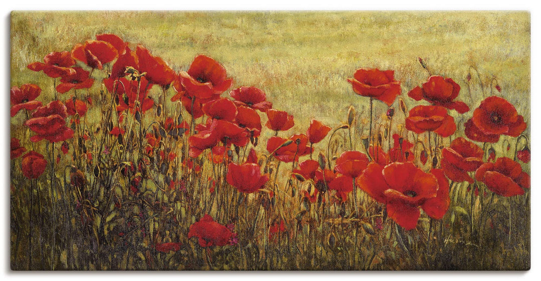ARTland Leinwandbilder Wandbild Bild auf Leinwand 60 x 30 cm Botanik Blumenwiese Mohnblume Malerei R