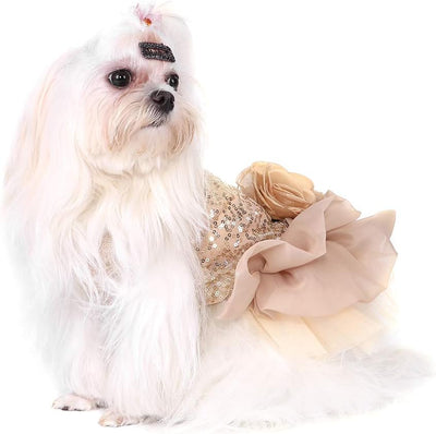 Hunde Kleider, atmungsaktives Netz mit Pailletten, Tutu Kleid, Hunde Weste, Blasenrock für den Frühl