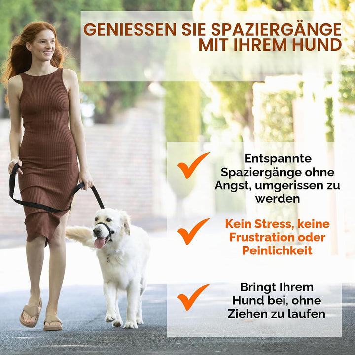 Canny Halsband – The Canny Colossus Hundehalsband für grosse Hunderassen, einfache und effektive Hil