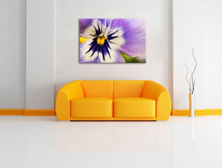 Pixxprint farbenfrohes Stiefmütterchen auf Leinwand, XXL riesige Bilder fertig gerahmt mit Keilrahme