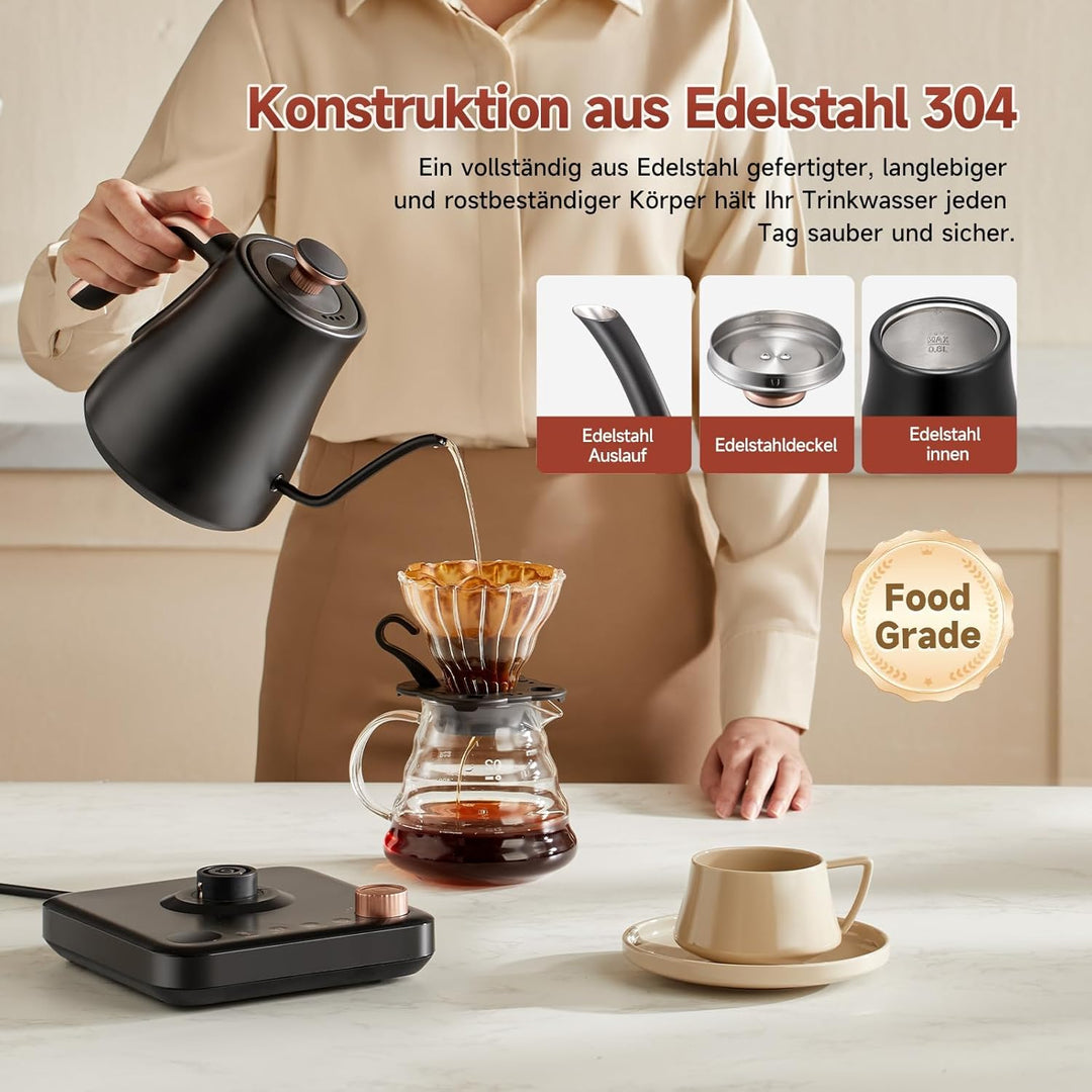 OLEGA wasserkocher schwanenhals: 1200W wasserkocher mit temperatureinstellung, 0.8L Edelstahl schwan