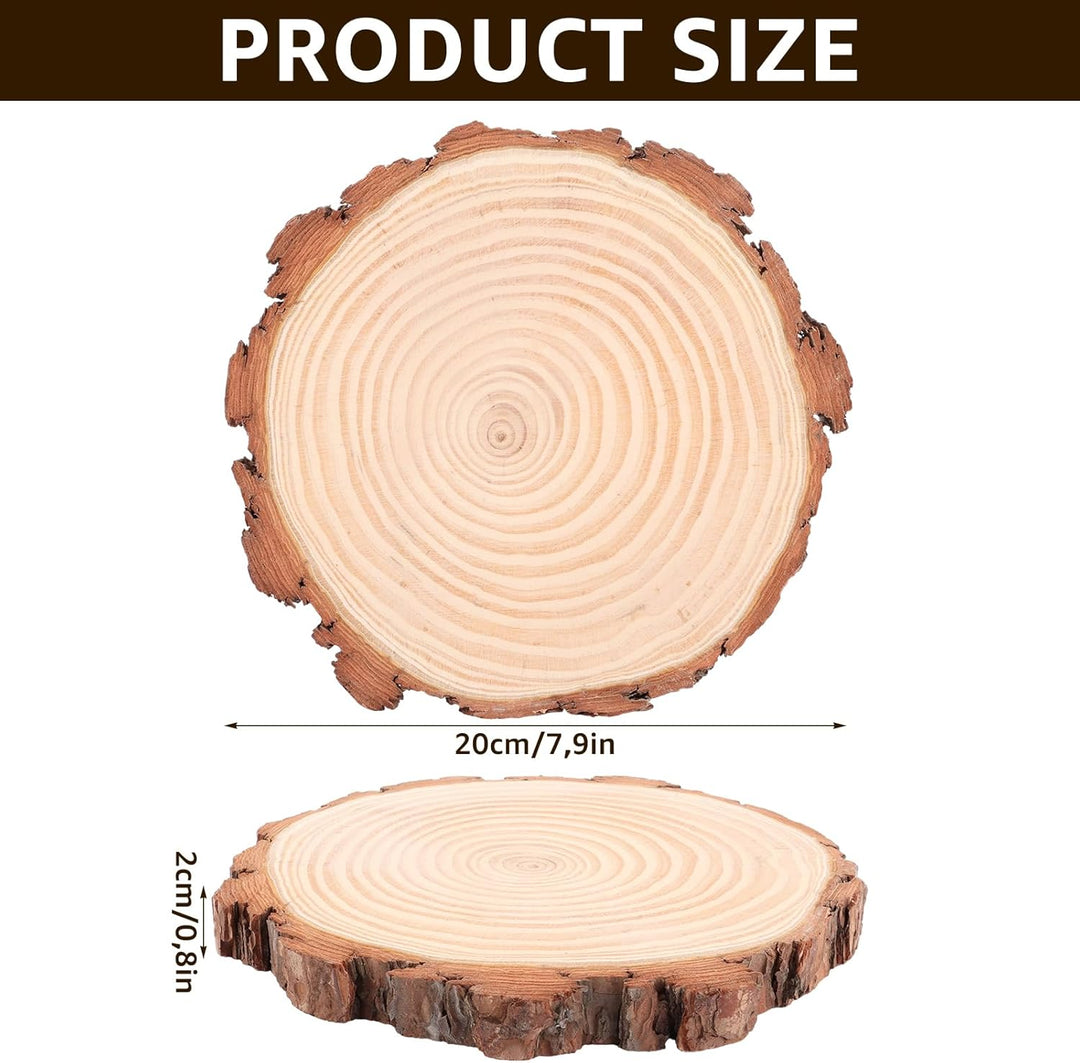 SHUESS 6er Holzscheiben 20 cm Durchmesser – Natur Baumscheiben Ca.20mm Deko Holzscheibe, Holzplatte