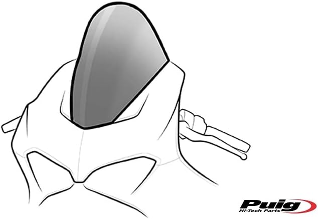 Puig 20771N R-Racer Scheibe Schwarz, Schwarz