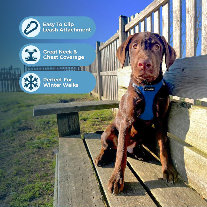 Voyager Step-In Plüsch Hundegeschirr - Weicher Plüsch Step In Vest Geschirr für kleine und mittelgro