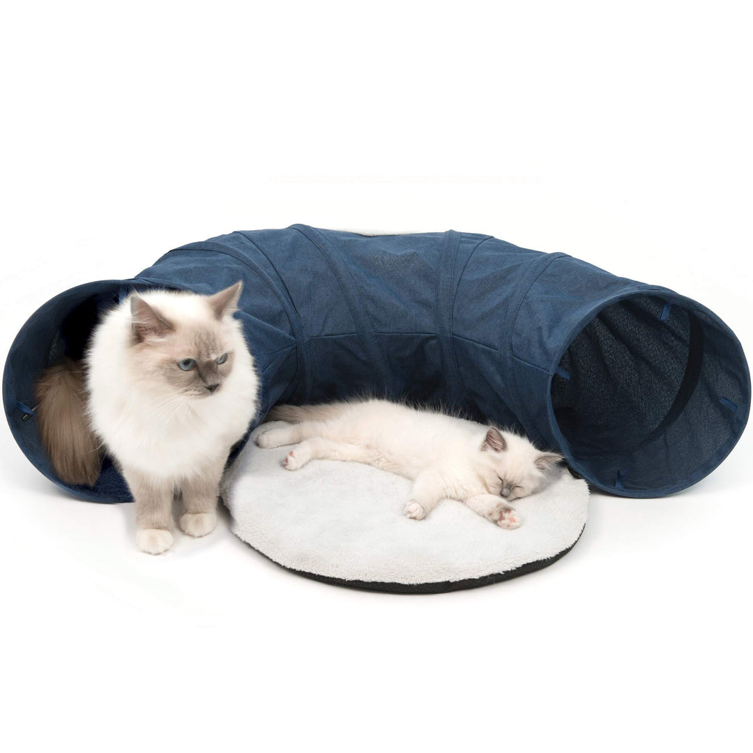 Catit 41995 Vesper Tunnel, für Katzen, mit Schlafkissen, blau , Black, Black