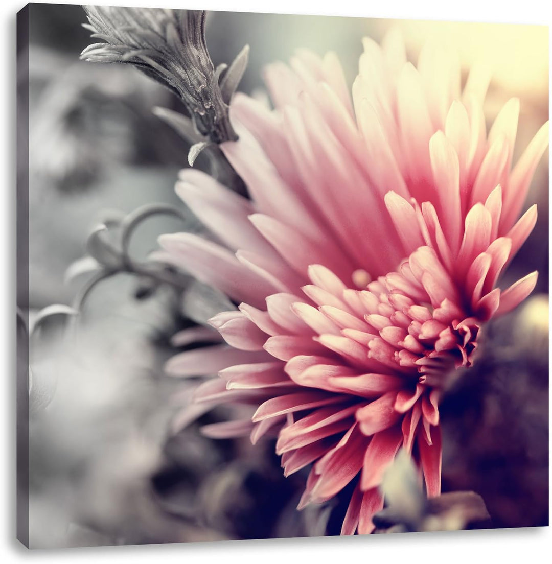 Pixxprint Romantische Blumen Schwarz/Weiss, Format: 70x70 auf Leinwand, 70x70