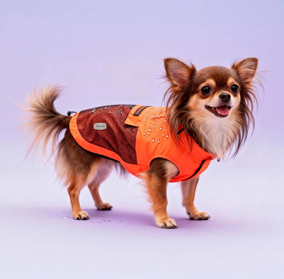 Record - Winddichter Regenmantel für Hunde, bequem, mit Gummibändern für Pfoten und verstellbarem Ha