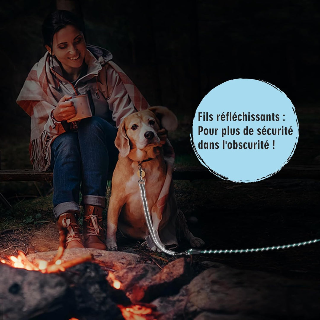 Aystkniet Bungee Schleppleine für Hunde 3M 5M 9M 10M 15M 20M 30M, Schockabsorbierende Hundeleine mit