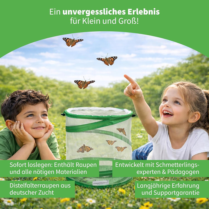 Hagemann Schmetterlingsgarten – Schmetterlinge züchten Set mit 5–7 Distelfalter Raupen | Natur Exper