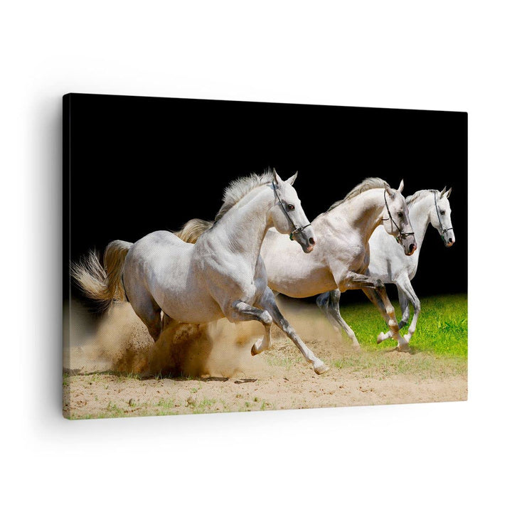 Bilder auf Leinwand Pferde Sand Gras Leinwandbild mit Rahmen 70x50cm Wandbilder Dekoration Wohnzimme