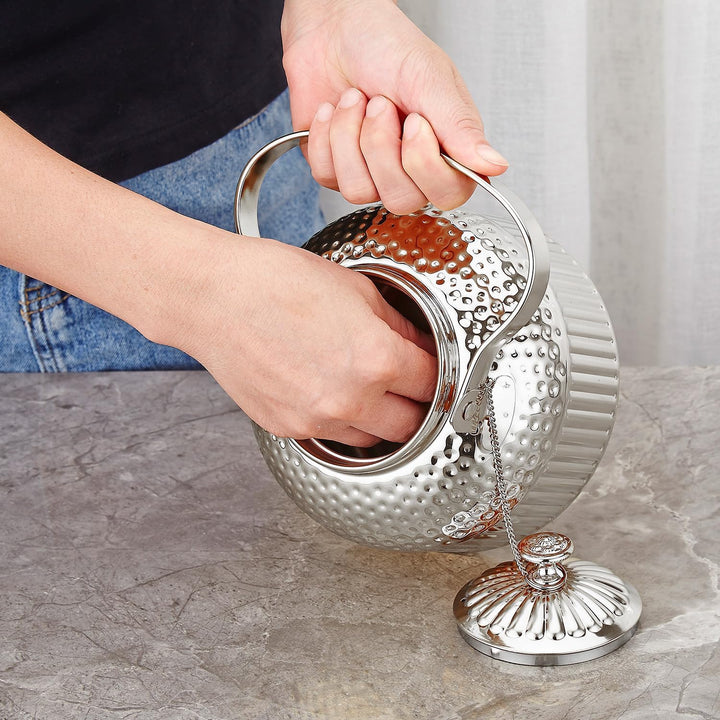 SANQIAHOME® 1,4 Liter Edelstahl-Teekanne mit Siebeinsatz, mit Teesiebgriff,Induktionsgeeignet Silber