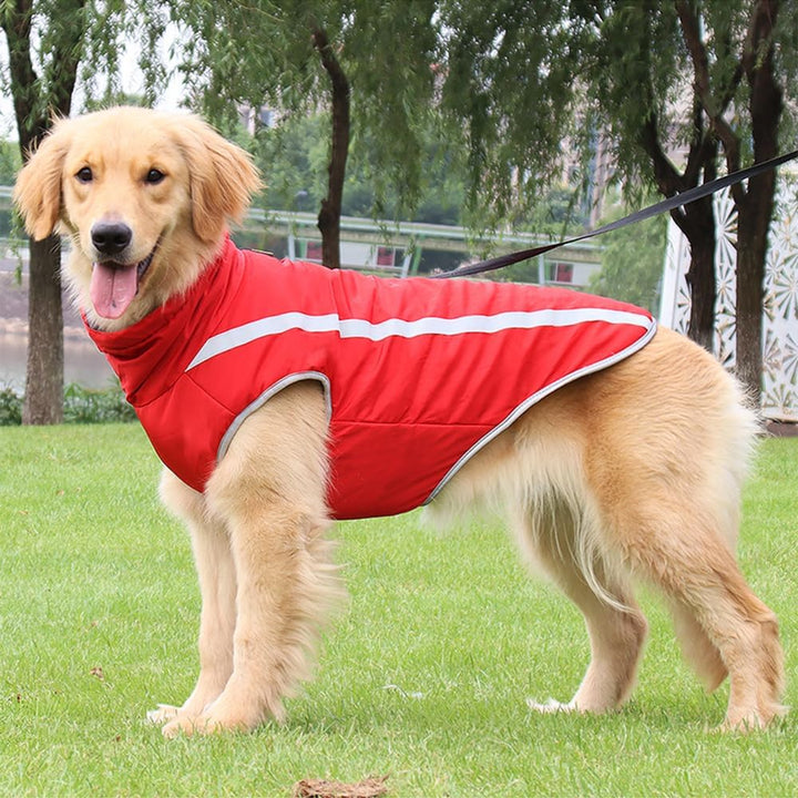 Idepet Wasserdichter Hundemantel Winter Warme Jacke, Winddichte Haustierkleidung Hundejacke Outfit f