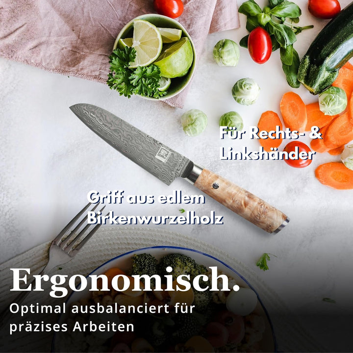 zayiko Kinone Premium Kleines Santokumesser - 12 cm Klinge, 67 Lagen Damaststahl, ergonomischer Birk