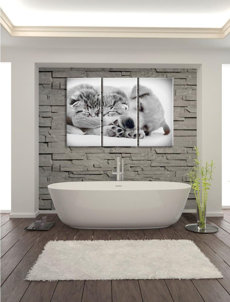 Pixxprint Hundewelpe mit kleinen Kätzchen als Leinwandbild/Grösse: 3 Teilig (120x80) cm/Wandbild/Kun