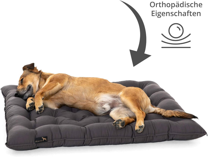 Pointer | Hundekissen Urban - orthopädisch, waschbar, robust, bequem (XXXL - 90x80 cm, Grau) XXXL -
