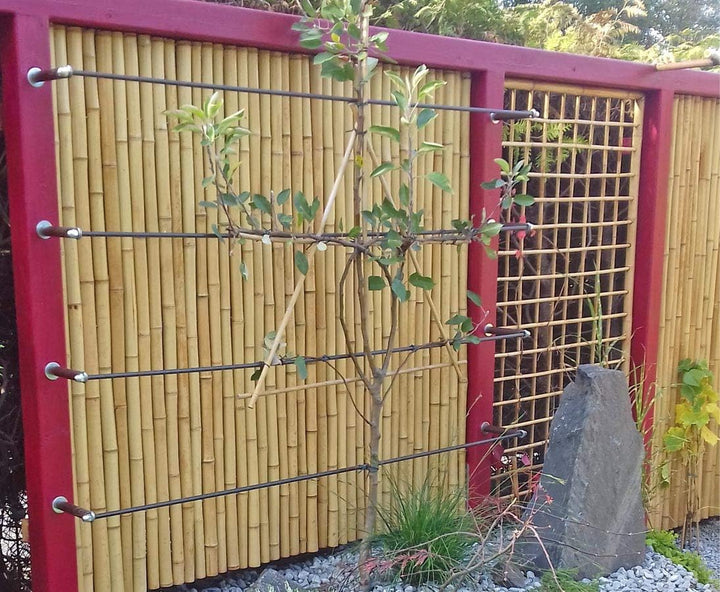 Bambus Rollzaun "Bali Big" 180 x 200cm aus dicken Bambusrohren mit 3,5-5cm Durchmesser - Bambusmatte