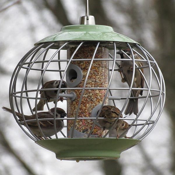 The Nuttery HELD04 Vogel-Futterspender für Eichhörnchen, 24,6 cm H x 27,7 cm B x 27,7 cm D, Celedon,