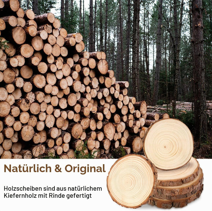 Philorn Holzscheiben 6 Stücke Runde Baumscheiben 16-17cm Holz Log Scheiben, Holzscheiben zum Basteln