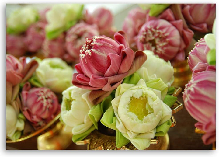 Feeby Wandbild Blumen Druckbild Leinwandbild Pflanze mehrfarbig 100x70 cm Leinwandbild 100x70 cm meh