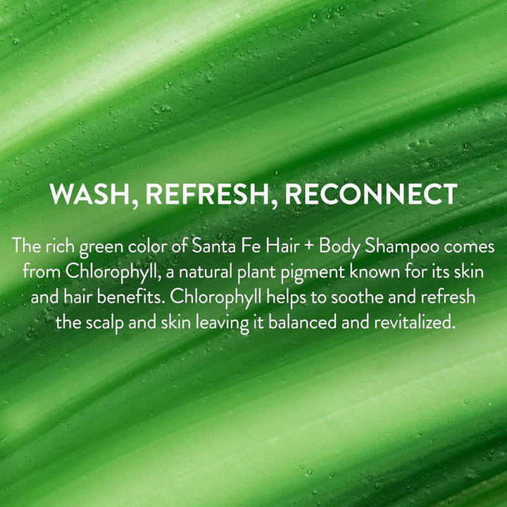 Philip B Scent of Santa Fe Shampoo, 350 ml