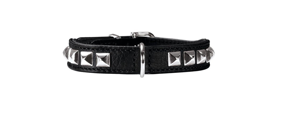 HUNTER ROCKY PETIT Hundehalsband für kleine Hunde, Leder, Nappaleder, weich, rockig, Nieten-Besatz,
