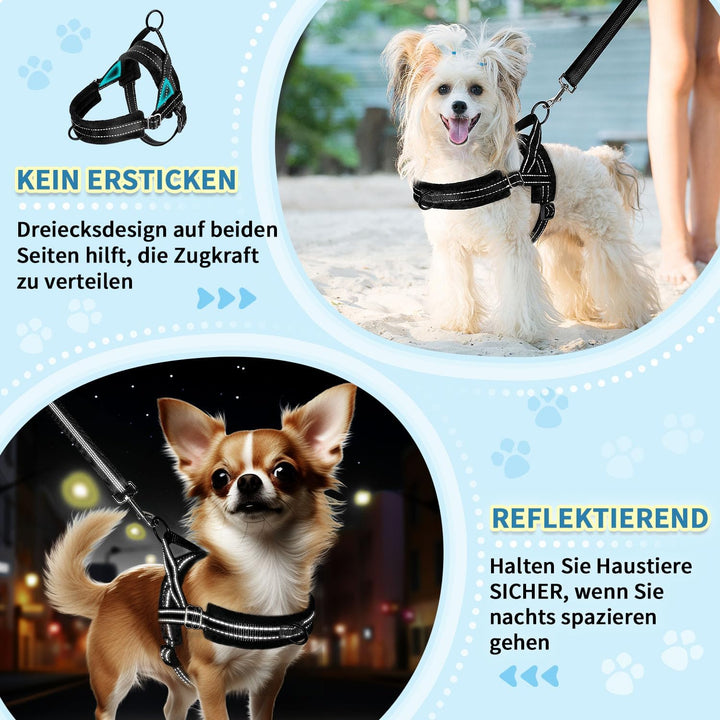 Hundegeschirr mit Leine für mittelgrosse Kleine Hunde, Weich gepolsterter No-Pull Brustgeschirr mit