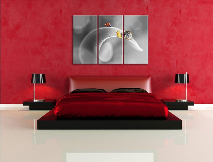 Pixxprint eine Schnecke und Marienkäfer auf Einer Pflanze B&W Detail 3-Teiler Leinwandbild 120x80 Bi